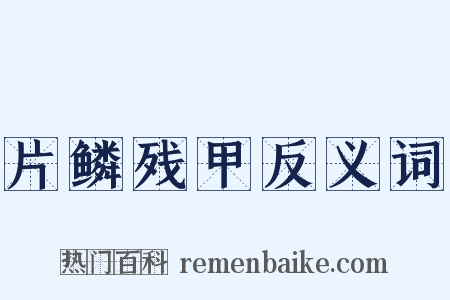 片鳞残甲反义词是什么意思的图片